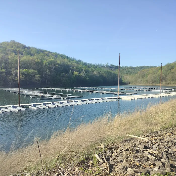 Tygart Lake State Park Campground 4