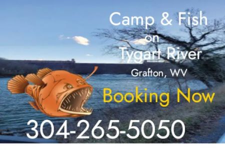 BaitFishCamping