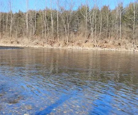 Todd and Angie's River Lot