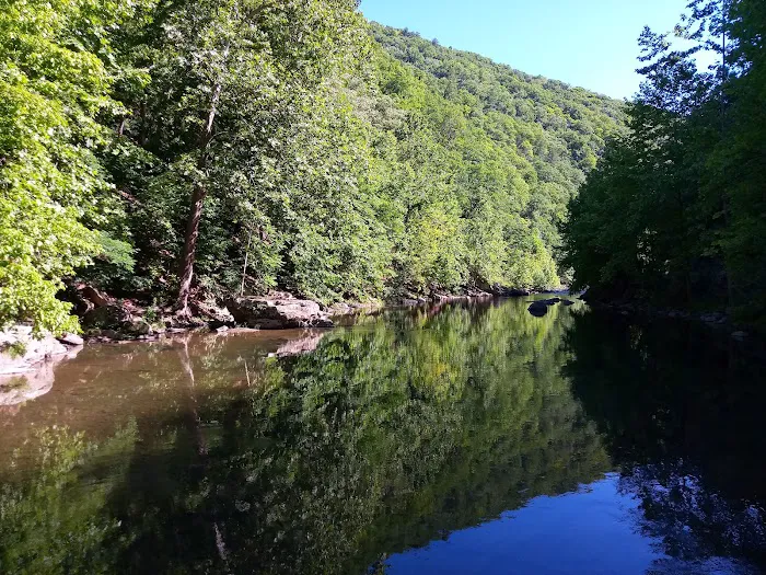 Todd and Angie's River Lot 6