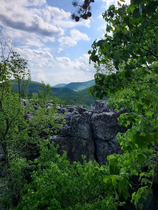 Camp Hemlock 4