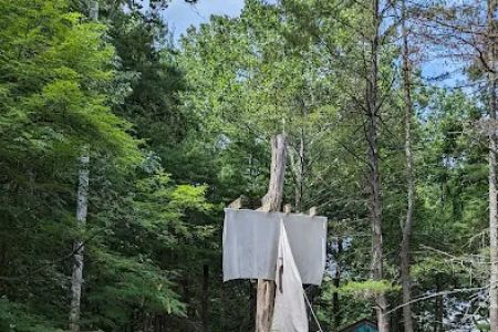 Camp Hemlock