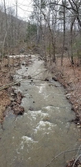 Camp Hemlock 8