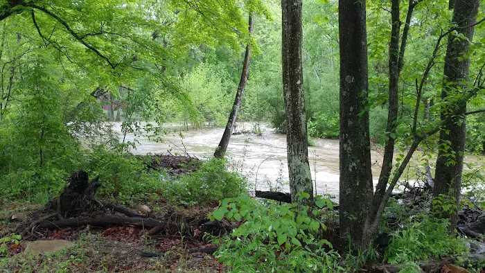 Camp Hemlock 9