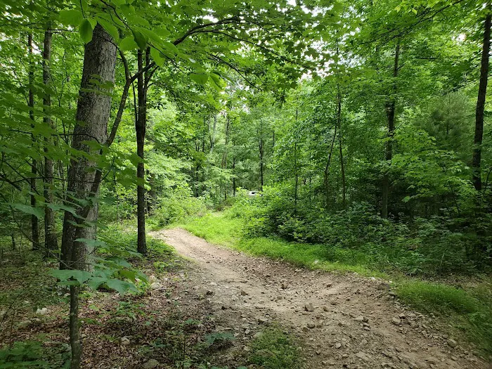 Peters Mill Run/Taskers Gap OHV System 1