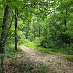 Peters Mill Run/Taskers Gap OHV System