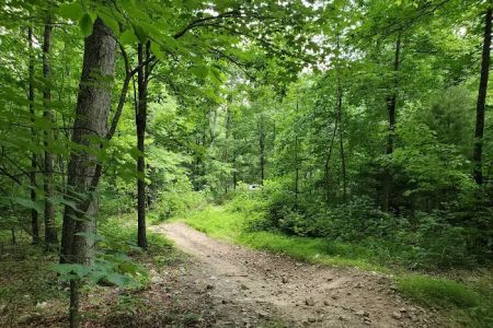 Peters Mill Run/Taskers Gap OHV System