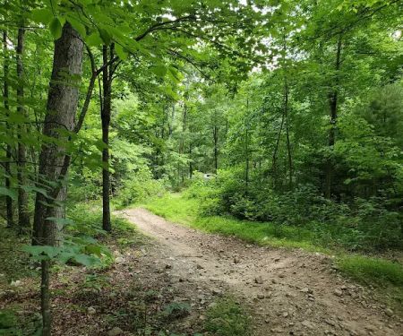 Peters Mill Run/Taskers Gap OHV System