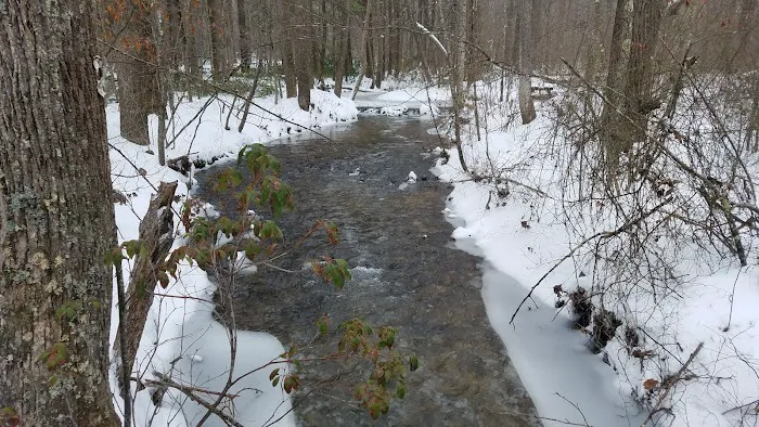 Little Fort Campground 1
