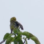 Hawk Recreation Area