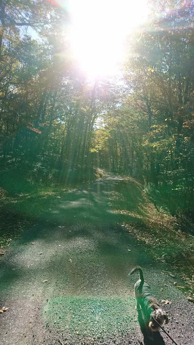 Hawk Recreation Area 9