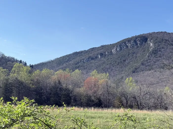 Double Spur Outfitters 10
