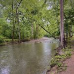 The Bluffs at Cedar Creek
