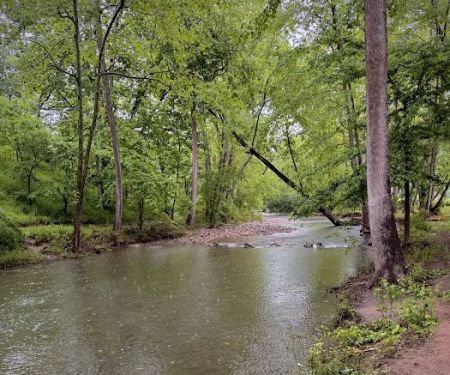 The Bluffs at Cedar Creek