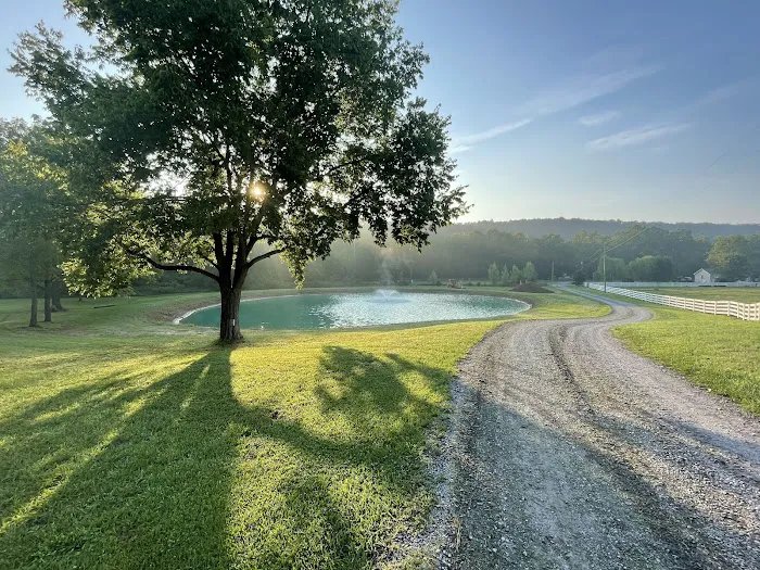 The Bluffs at Cedar Creek 10