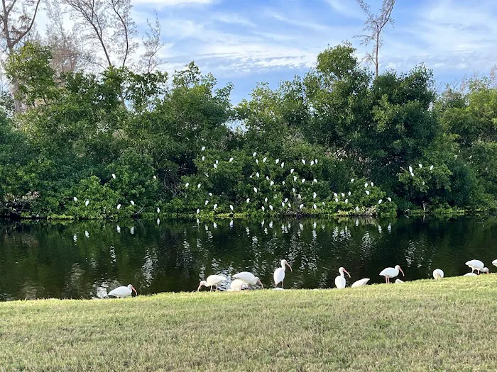 Sarasota Bay RV Park 7