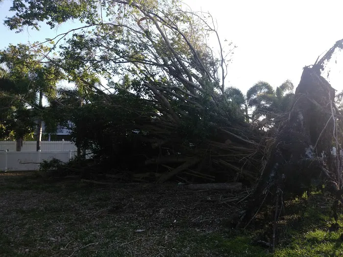 Paradise Bay Estates Inc 7