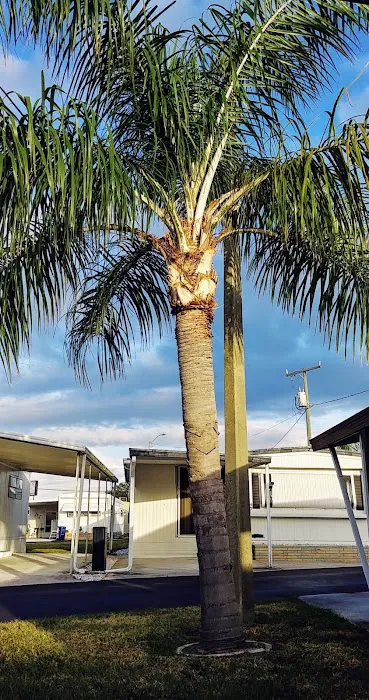 South Winds Mobile Home Park 6