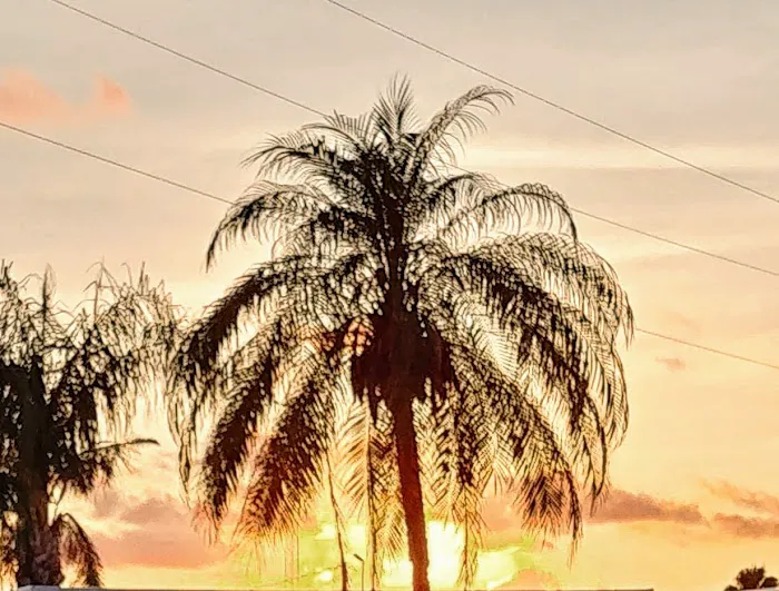 South Winds Mobile Home Park 5
