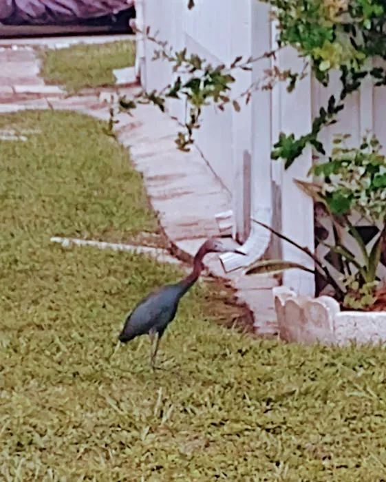 South Winds Mobile Home Park 8