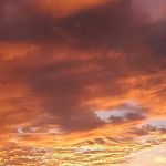 Trailer Estate Park & Rec