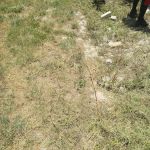 Colony Club Mobile Home Pk