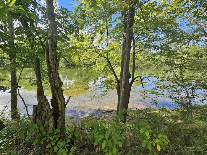 Shenandoah River State Park RV Campground 6