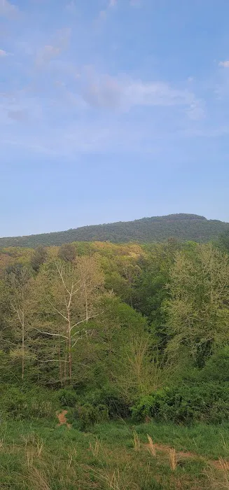 Mountainview RV Campground 10