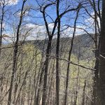 Elizabeth Furnace Family Campground