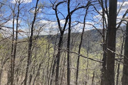 Elizabeth Furnace Family Campground