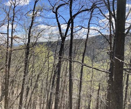 Elizabeth Furnace Family Campground