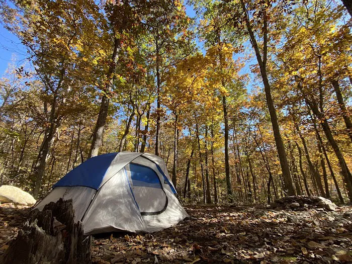 Elizabeth Furnace Family Campground 2