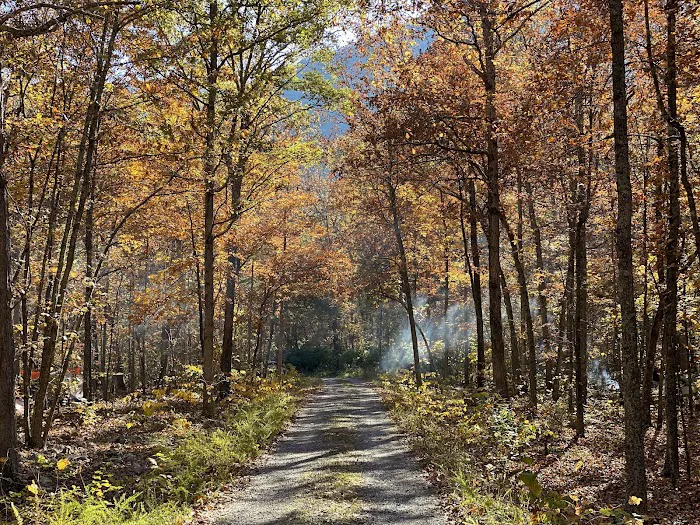 Elizabeth Furnace Family Campground 10