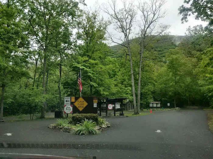 Elizabeth Furnace Family Campground 7
