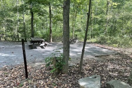 Elizabeth Furnace Recreational Area
