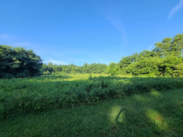 Sky Meadows Campground 8