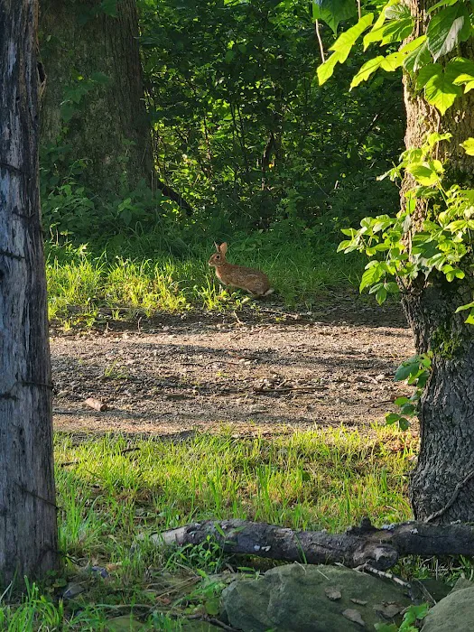 Sky Meadows Campground 10