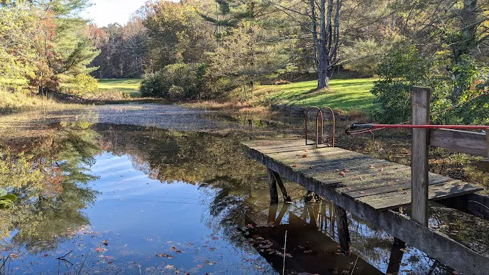Mountain Lake Campground 4