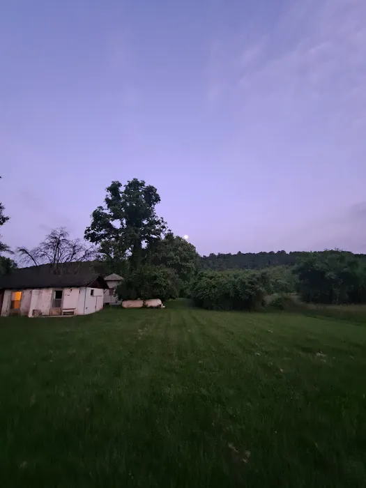Mountain Lake Campground 10