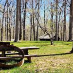 Cabin Camp 3 - Orenda Check-In