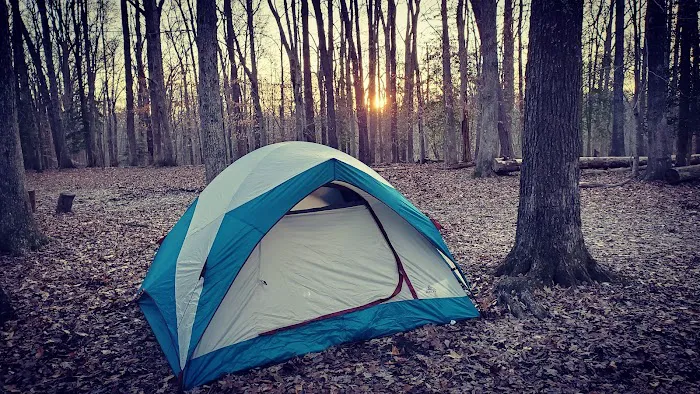 Turkey Run Ridge Group Campground 4