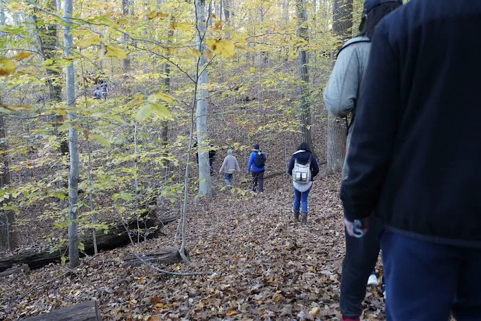 Turkey Run Ridge Group Campground 6