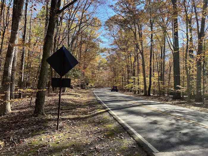 Turkey Run Ridge Group Campground 3