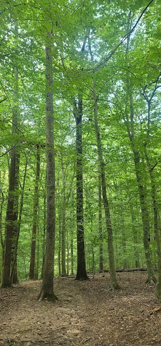 Turkey Run Ridge Group Campground 9