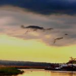 Port Tobacco RV Resort