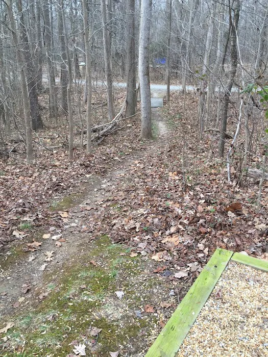 Campground 2