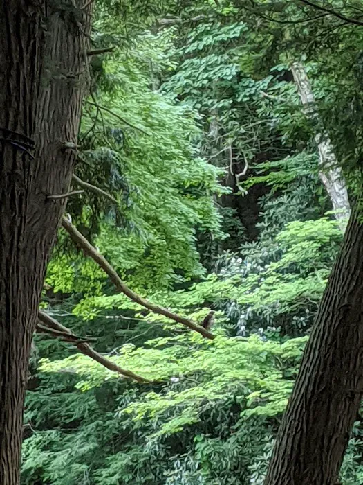 Horseshoe Recreation and Campground Area 7