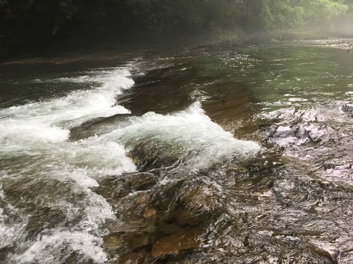 Horseshoe Recreation and Campground Area 6