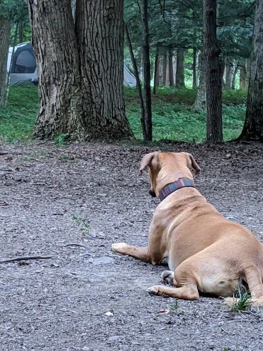Horseshoe Recreation and Campground Area 8