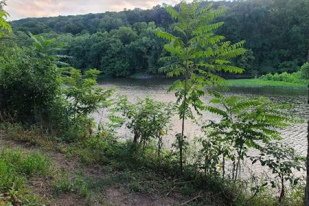 Big Anchor Campground